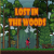 Lost in the Woods img